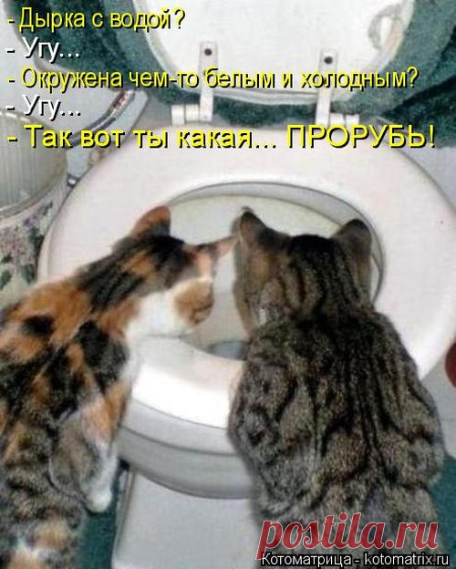 Сегодня пятница! Забавные котоматрицы для поднятия настроения