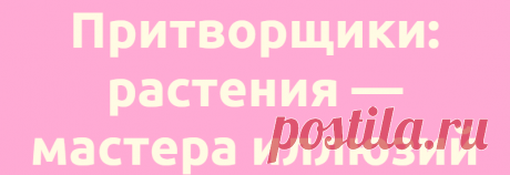Притворщики: растения — мастера иллюзий
Наука Биология 05.07.2021, 12:40 Притворщики: растения — мастера иллюзий Южноамериканские лианы Boquila...
Читай дальше на сайте. Жми подробнее ➡