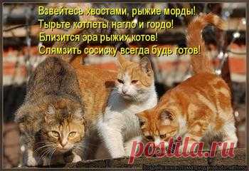 20 вредных привычек, которые убивают ваши отношения