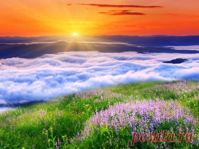 priroda-peyzazh-oblaka-solnce.jpg (640×480)