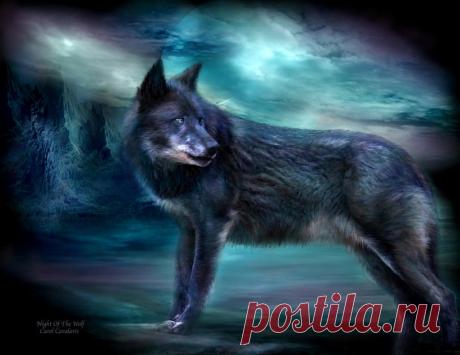 С волками можно только быть на равных... Carol Cavalaris