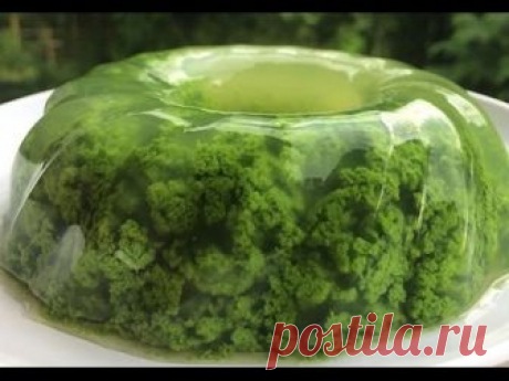 Cara Membuat Pudding Lumut