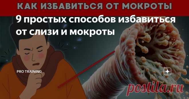9 простых способов избавиться от слизи и мокроты Статья автора «PRO TRAINING» в Дзене ✍: Способы избавления от слизи и мокроты, которые являются естественными защитными механизмами организма, могут иногда злоупотреблять своим гостеприимством.