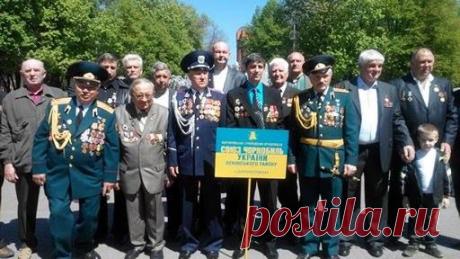 (2) Владимир Мотченов