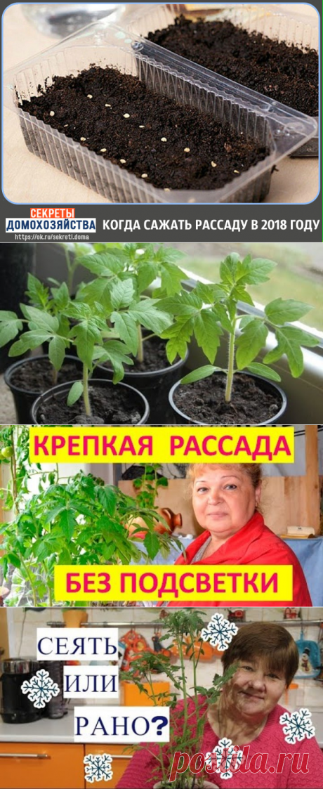 (48) Одноклассники