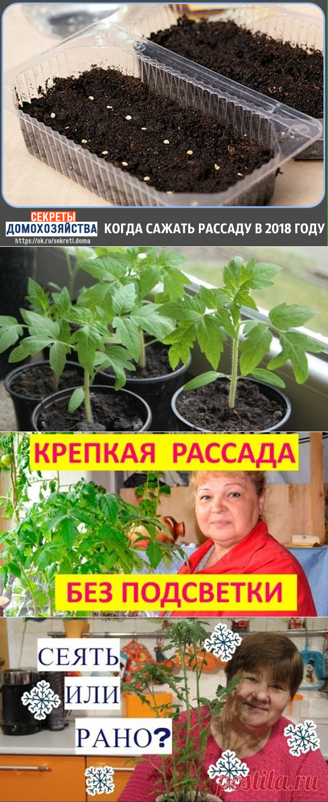 (48) Одноклассники