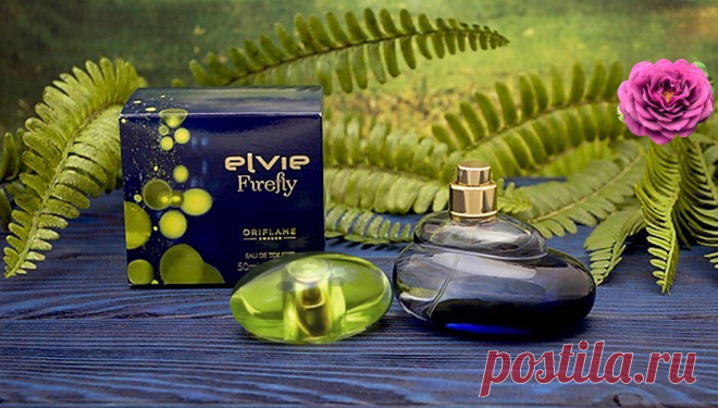 #аромат
31119 Elvie Firefly в переводе означает Светлячок Элви. Этот необычный аромат приглашает погрузиться в волшебный загадочный мир скандинавских мифов. Вдохновением для парфюмера Александры Косински стала легенда о распускающейся в полночь розе: