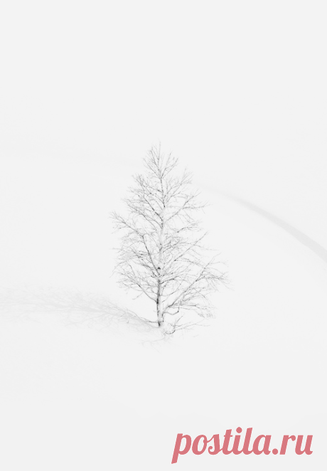 w_w (by makoto shukawa)