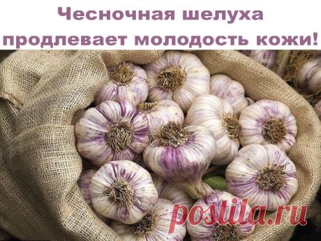 Чесночная шелуха продлевает молодость кожи | Полезные советы!