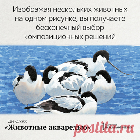 Изображая нескольких животных на одном рисунке, вы получаете бесконечный выбор композиционных решений