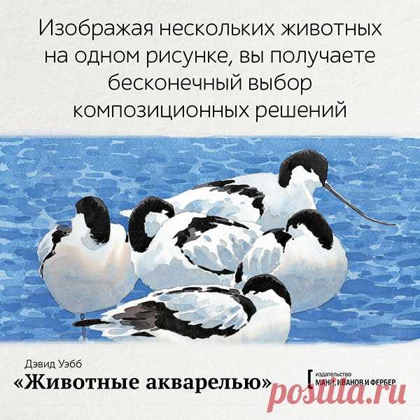 Изображая нескольких животных на одном рисунке, вы получаете бесконечный выбор композиционных решений