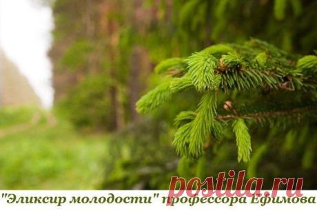 Я неотразимая! Красота, здоровье, рецепты✔