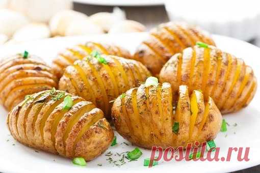 ТОП-6 РЕЦЕПТОВ ВКУСНОГО КАРТОФЕЛЯ 

1. КАРТОШКА-ГАРМОШКА

ИНГРЕДИЕНТЫ:
Показать полностью…