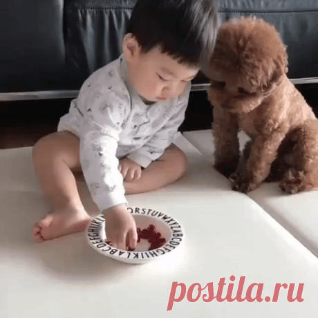 Animated GIF - Find & Share on GIPHY