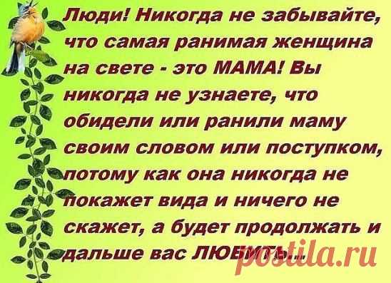 Коль обидел мать - проси прощения... Грех ее родную обижать! Бог ей дал великое терпение - за тебя всю жизнь переживать...