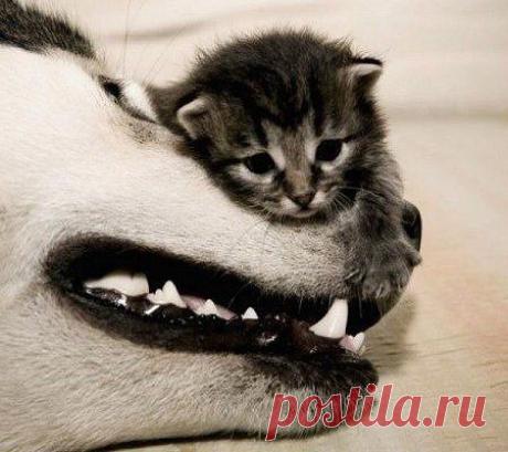 хх