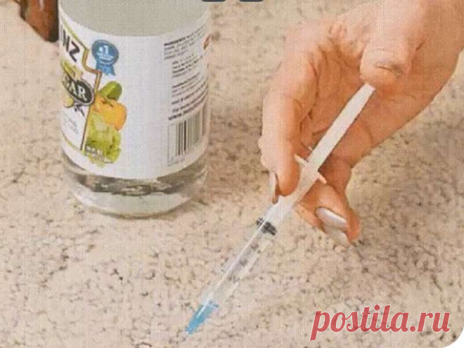 10 СПОСОБОВ ИСПОЛЬЗОВАНИЯ УКСУСА. ПОСЛЕ НИХ ТВОЙ ДОМ БУДЕТ СИЯТЬ ЧИСТОТОЙ. — sovets-online.ru