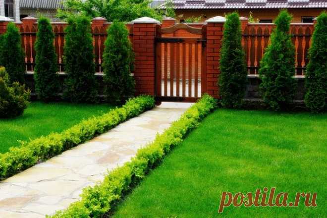 Как красиво оформить дорожку на участке?