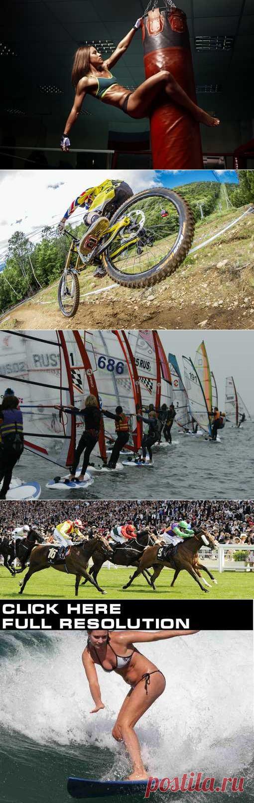 Шахматы, Парусный спорт, Хоккей, Пляжный волейбол. (1/1) - Спортивный форум. - Спортивный сайт