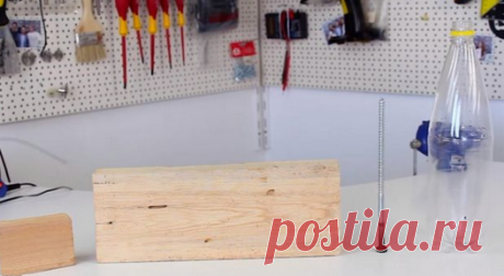 Эффективная и простая мышеловка, которая пригодится для каждого дома, своими руками | Сделай сам | Яндекс Дзен