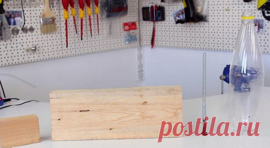 Эффективная и простая мышеловка, которая пригодится для каждого дома, своими руками | Сделай сам | Яндекс Дзен