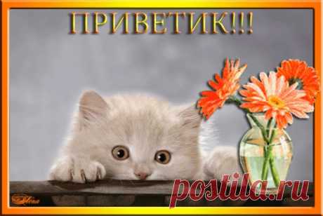 Диалоги