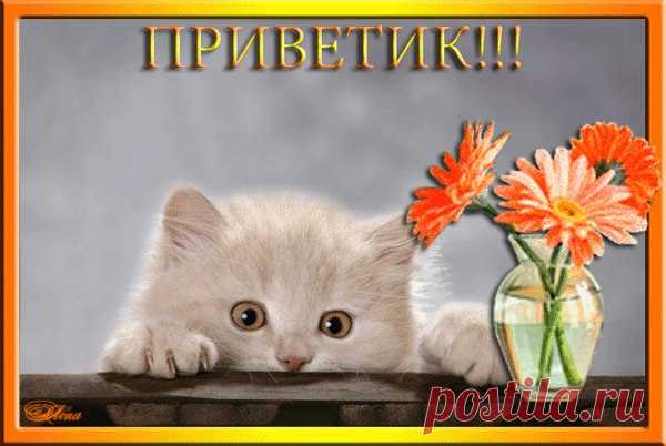 Диалоги