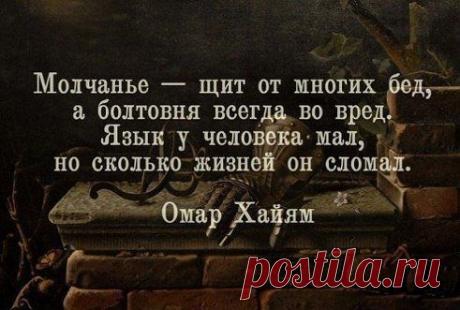 Djibrail 7
Стук, бысрей чем звук! Крик, быстрей чем слух!