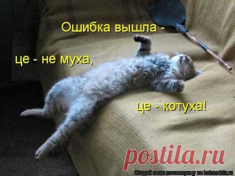 Смайлики и анимашки. В Кругу Друзей — социальная сеть