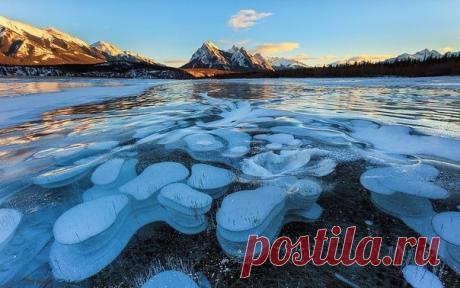 Замерзшие пузыри газа на озере Абрахам, Канада / Богатая добыча