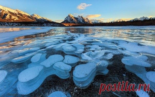 Замерзшие пузыри газа на озере Абрахам, Канада / Богатая добыча