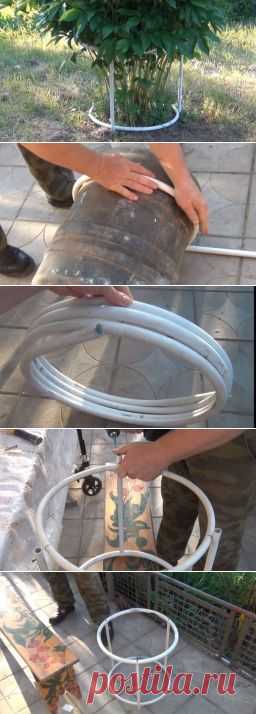 Конструкция для подвязки пионов - Садоводка