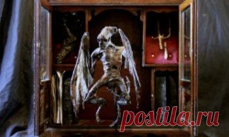 Плюк Паранормальное и непознанное | За пределами сознания. За гранью возможного