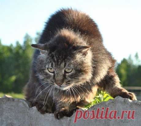 5минутка