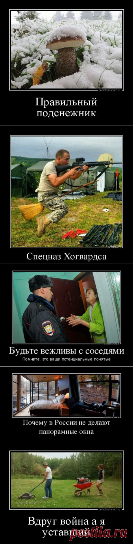 Сборник демотиваторов (14 шт)
