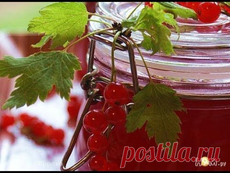 Желе из красной смородины. Заготовки на зиму