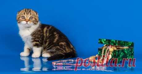 (2) людмила Башарина