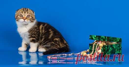 (2) людмила Башарина