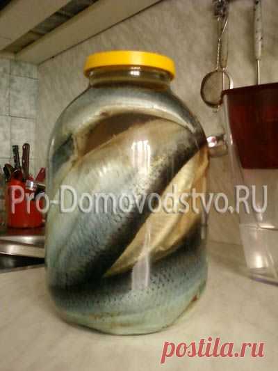 Изумительная селедочка в банке