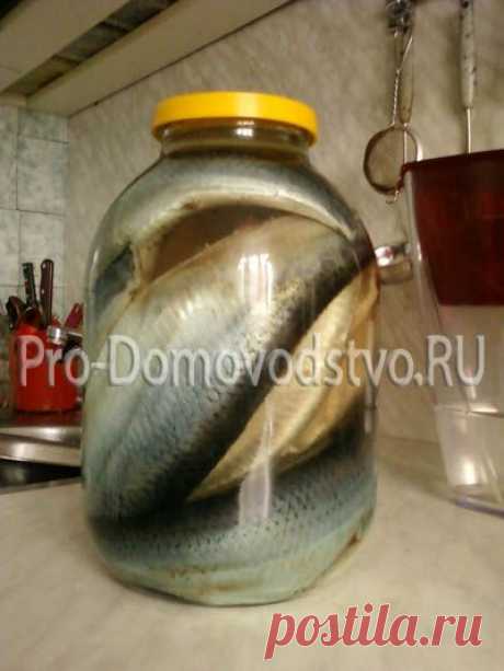 Изумительная селедочка в банке