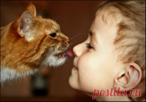 Чувствуют ли кошки плохих людей? 

Кошки не умеют читать мысли или видеть на расстоянии, поэтому человека, который «где-то когда-то» совершил что-то плохое, они воспринимают нормально. При этом кошки прекрасно чувствуют энергетику, они сами—комок положительной энергии. И если человек заряжен негативной энергией—кошка обязательно это почувствует и будет направлять на этого человека свою агрессию. А уже причины такой энергетики могут быть совершенно разными: длительное плохое настроение, дурные