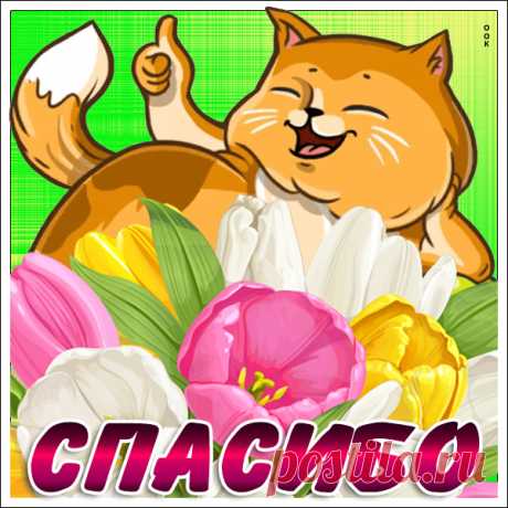 Картинка спасибо большое