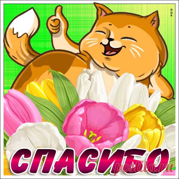 Картинка спасибо большое