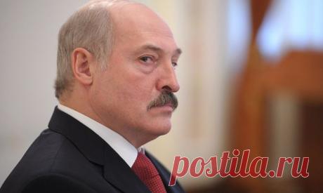 Лукашенко подписал антинаркотический декрет - Новости Политики - Новости Mail.Ru