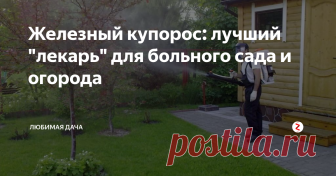 Железный купорос: лучший 