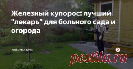 Железный купорос: лучший "лекарь" для больного сада и огорода Здоровый сад возможен только при правильном уходе: сюда можно отнести обрезку, обработку деревьев и их опрыскивание, своевременные подкормки и т. д. От вредоносных насекомых нужно вовремя избавляться, одно из эффективных средств борьбы – это железный купорос (представляющий из себя бирюзовые кристаллы). Он хорошо растворяется в воде, обычно им опрыскивают растения. В статье я расскажу вам о средст