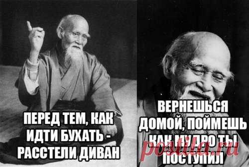 Снова прикольных картинок пост (50 шт)