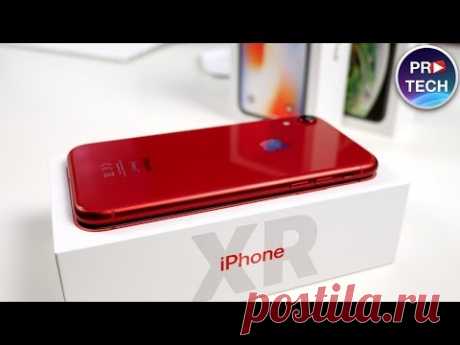 Полный обзор iPhone XR! Все, что надо знать!