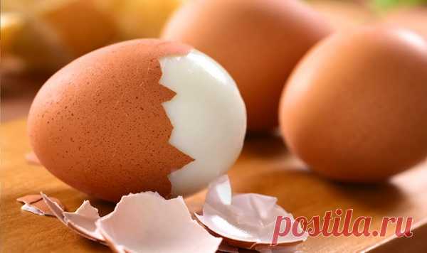 5 продуктов на завтрак, которые продлевают жизнь — Интересные факты