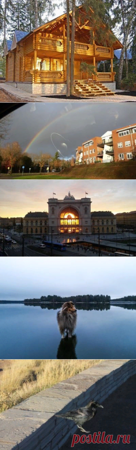 17 ярких фотографий, на которых запечатлена магия момента